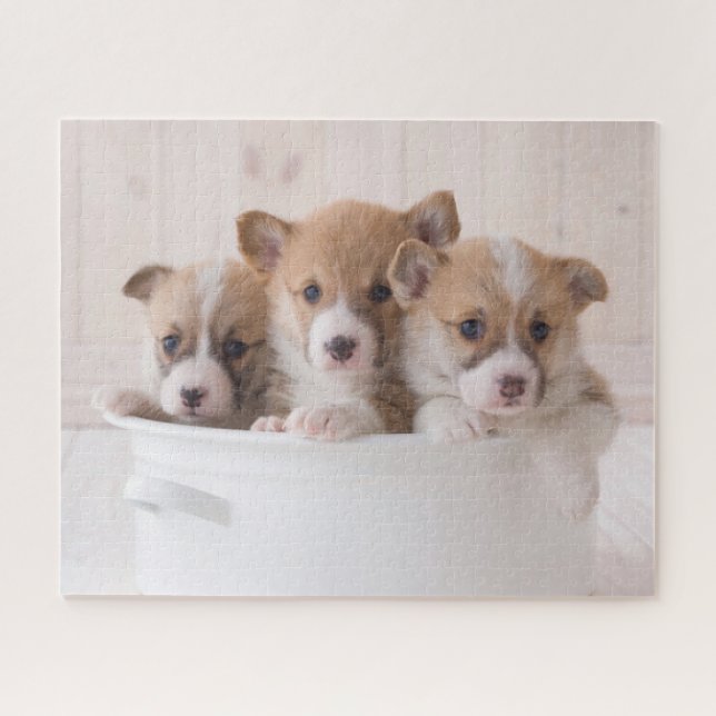 Puzzle Cutest Baby Animals | Cute Corgi Puppies in a Pot (Horizontal)