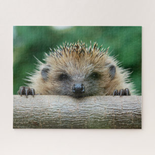 Puzzle Cutest Baby Animals Hedgehog Smile