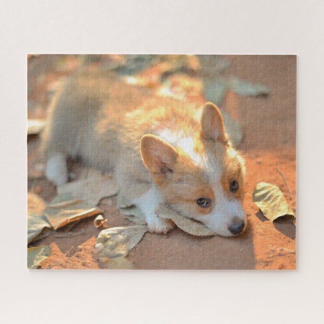 Puzzle Cutest Baby Animals | Shy Corgi (Horizontal)