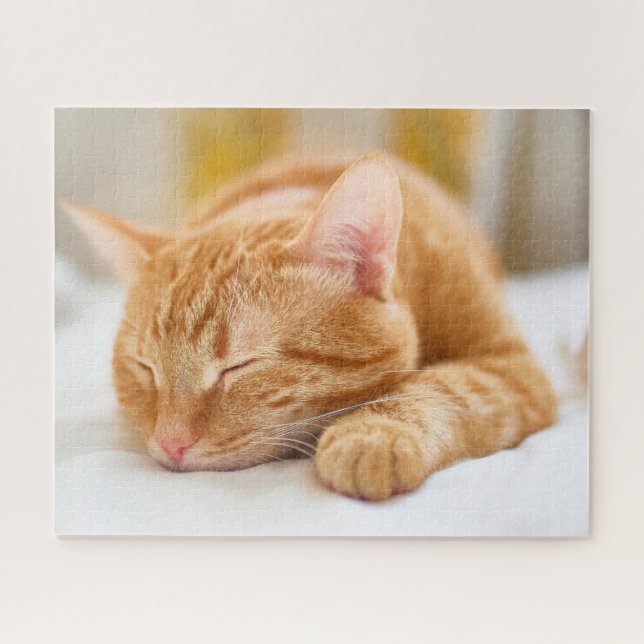 Puzzle Cutest Baby Animals | Sleeping Ginger Cat (Horizontal)