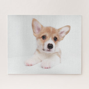 Puzzle Cutest Baby Animals Sweet Baby Corgi