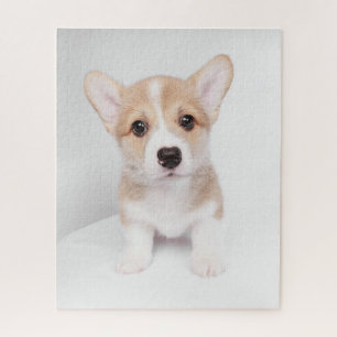Puzzle Cutest Baby Animals Tiny Corgi