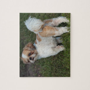 Puzzle Cutest Shih Tzu