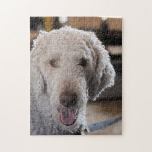 Puzzle Cuto