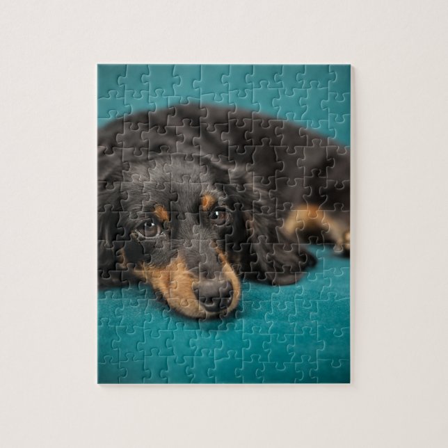Puzzle Cuto Dachshund Abajo (Vertical)