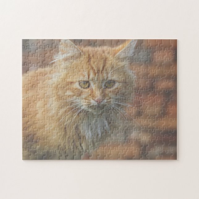 Puzzle Cuto Funky Ginger Cat Kitten Face (Horizontal)