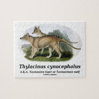 Puzzle Cynocephalus del Thylacinus (tigre o lobo tasmano)