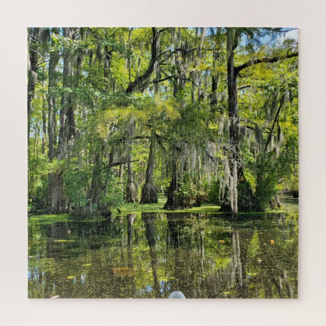 Puzzle Cypress Trees Covered with Spanish Moss (Vertical)