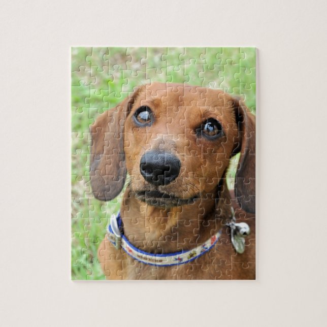 Puzzle Dachshund (Vertical)