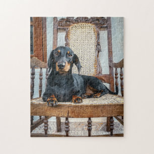 Puzzle Dachshund