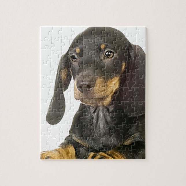 Puzzle Dachshund (Vertical)