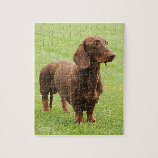Puzzle Dachshund (Vertical)