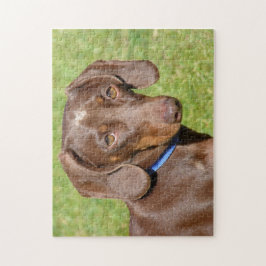 Puzzle Dachshund