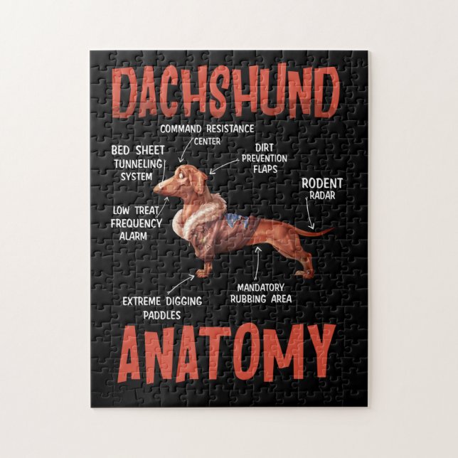 Puzzle Dachshund Cute para la anatomía de los amantes de  (Vertical)