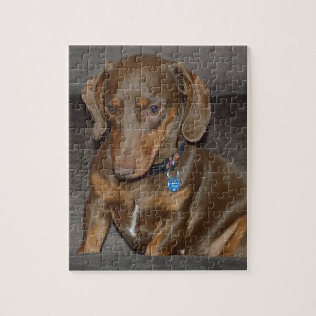 Puzzle Dachshund del chocolate (Vertical)
