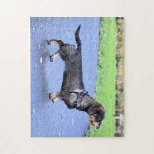 Puzzle dachshund pelo duro completo