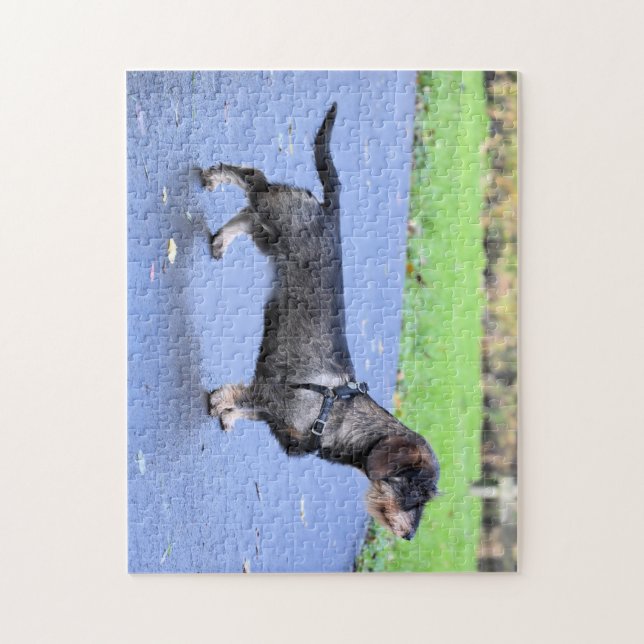 Puzzle dachshund pelo duro completo (Vertical)