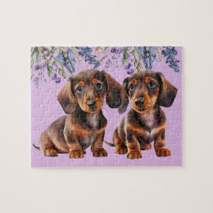 Puzzle Dachshund Puppies