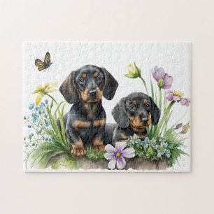 Puzzle Dachshund Puppies
