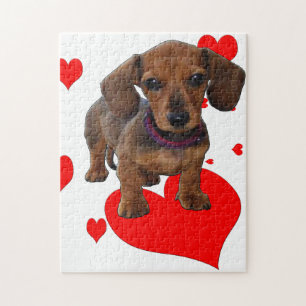 Puzzle Dachsie Dachshund con los corazones