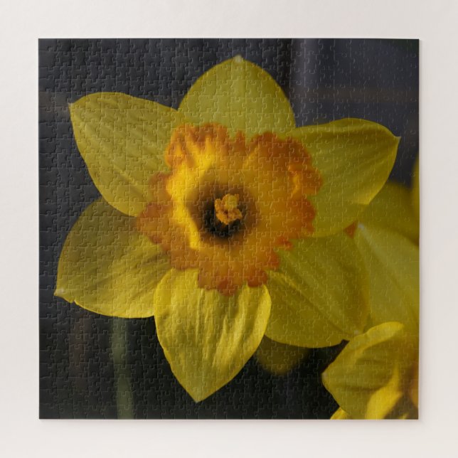 Puzzle Daffodil amarillo (Vertical)