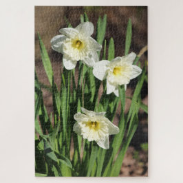 Puzzle Daffodil Flowe