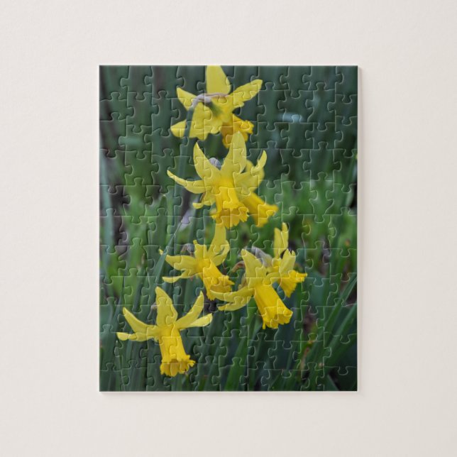 Puzzle Daffodis de primavera (Vertical)
