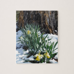 Puzzle Dafpies amarillos en la nieve