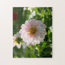 Dahlia blanca en la foto del jardín