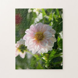 Puzzle Dahlia blanca en la foto del jardín