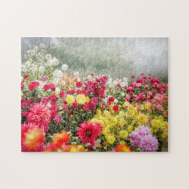 Puzzle Dahlia Flower Field (Horizontal)