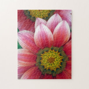 Puzzle Daisies africanos