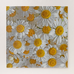 Puzzle Daisies blancos: Hermoso fondo floral