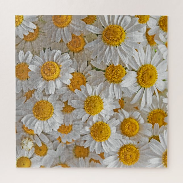 Puzzle Daisies blancos: Hermoso fondo floral (Vertical)