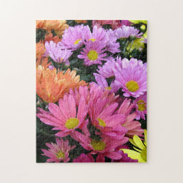 Puzzle Daisies coloridos