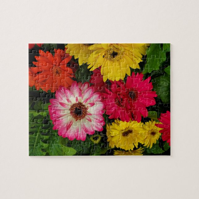 Puzzle Daisies coloridos (Horizontal)