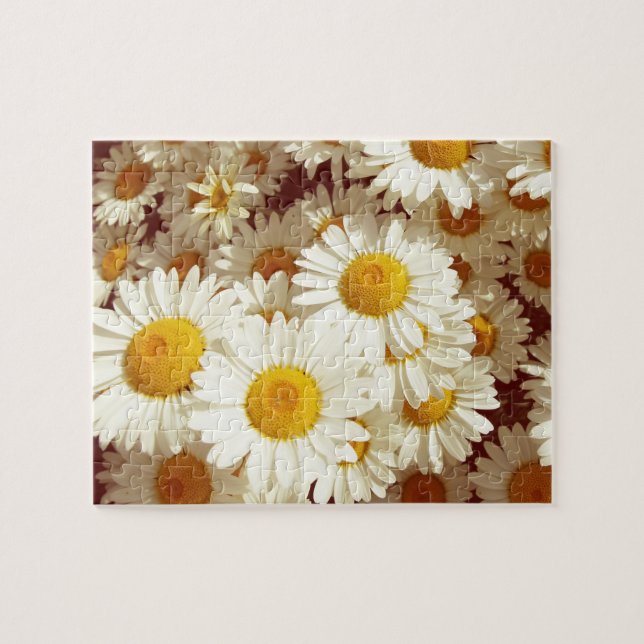 Puzzle Daisies vintage (Horizontal)