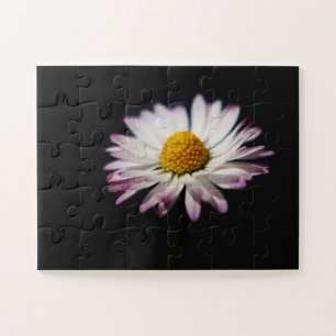 Puzzle Daisy común 11x14 30pc jpcn
