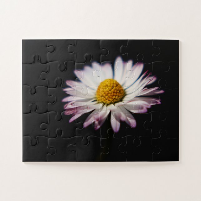 Puzzle Daisy común 11x14 30pc jpcn (Horizontal)