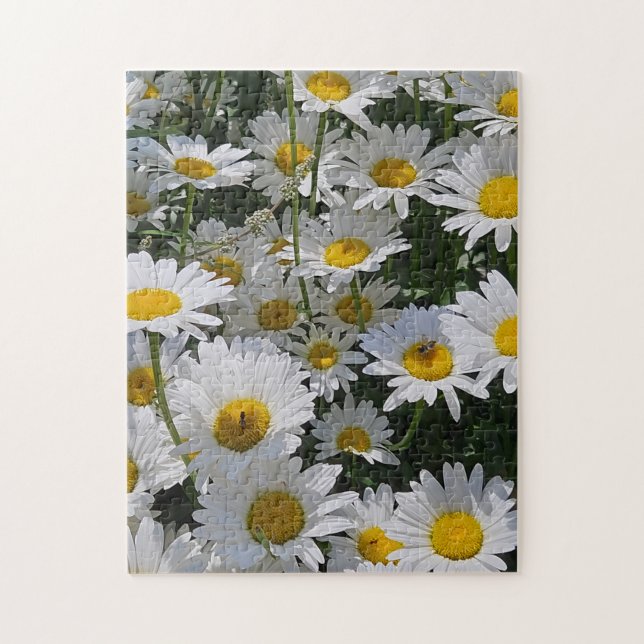 Puzzle Daisy Daydream Puzzle, 11" x 14", 252 pieces (Vertical)