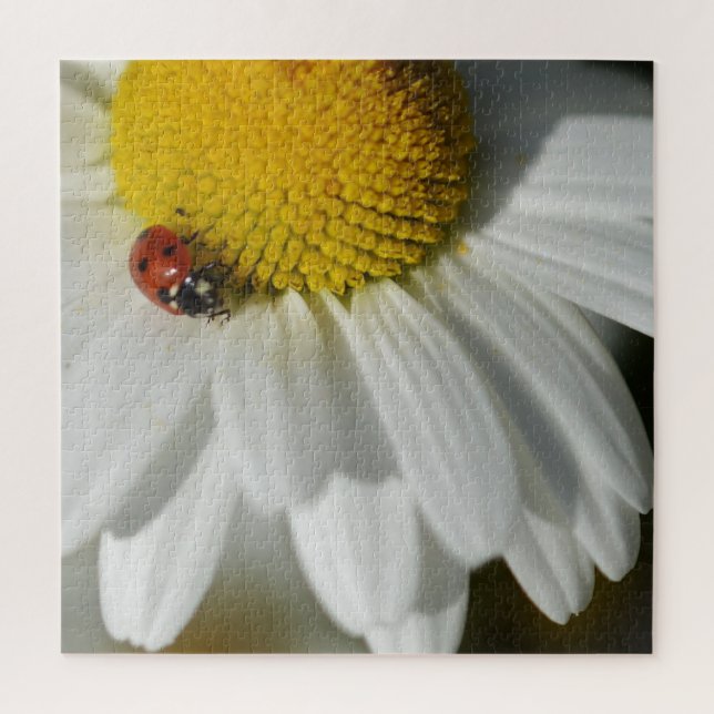 Puzzle Daisy Y Una Mariquita (Vertical)