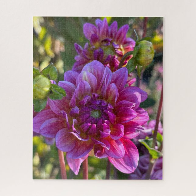 Puzzle Dalia Púrpura, Oakland (Vertical)