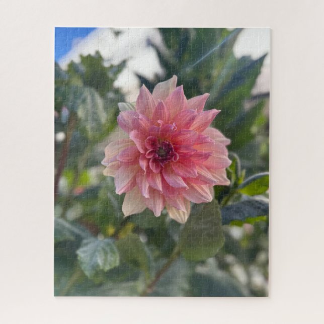 Puzzle Dalia Rosa, Palo Alto (Vertical)