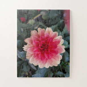 Puzzle Dalia variegada roja y blanca