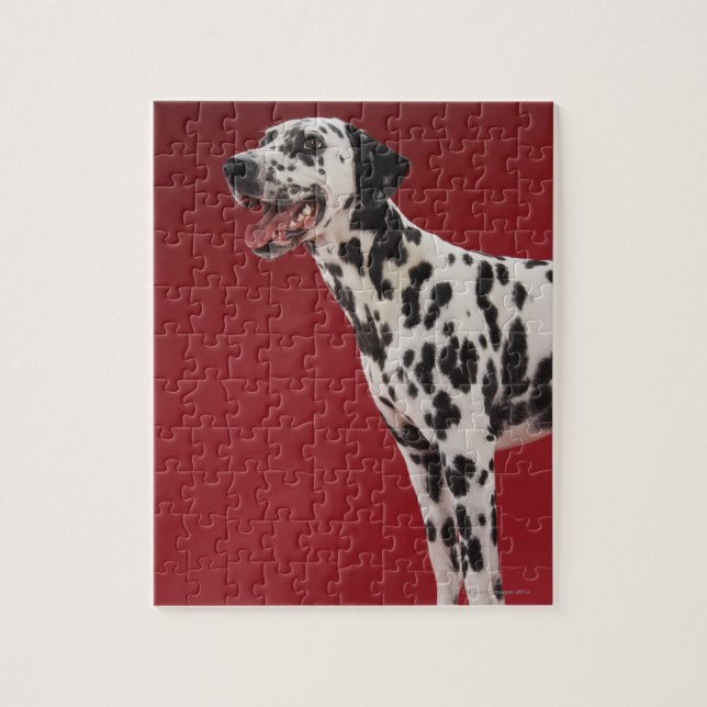 Puzzle Dalmacia 6 (Vertical)