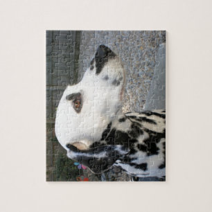 Puzzle Dalmacia - Reina de Cindy
