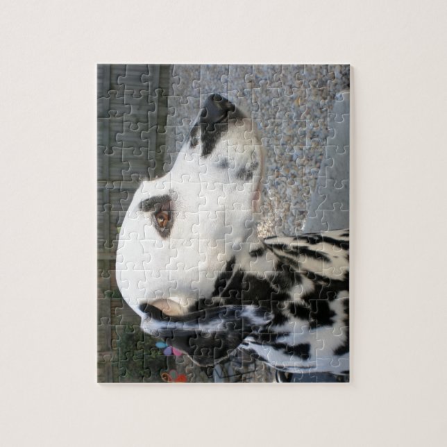 Puzzle Dalmacia - Reina de Cindy (Vertical)