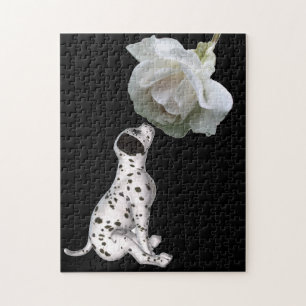 Puzzle Dalmatian Puppy Smelling White Rose 