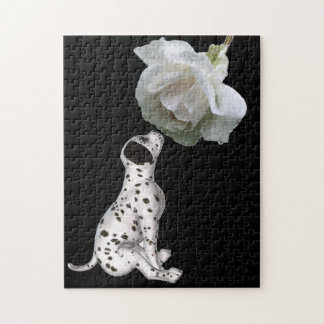 Puzzle Dalmatian Puppy Smelling White Rose 