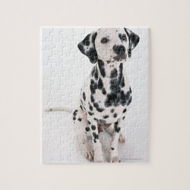Puzzle Dalmatiano (Vertical)